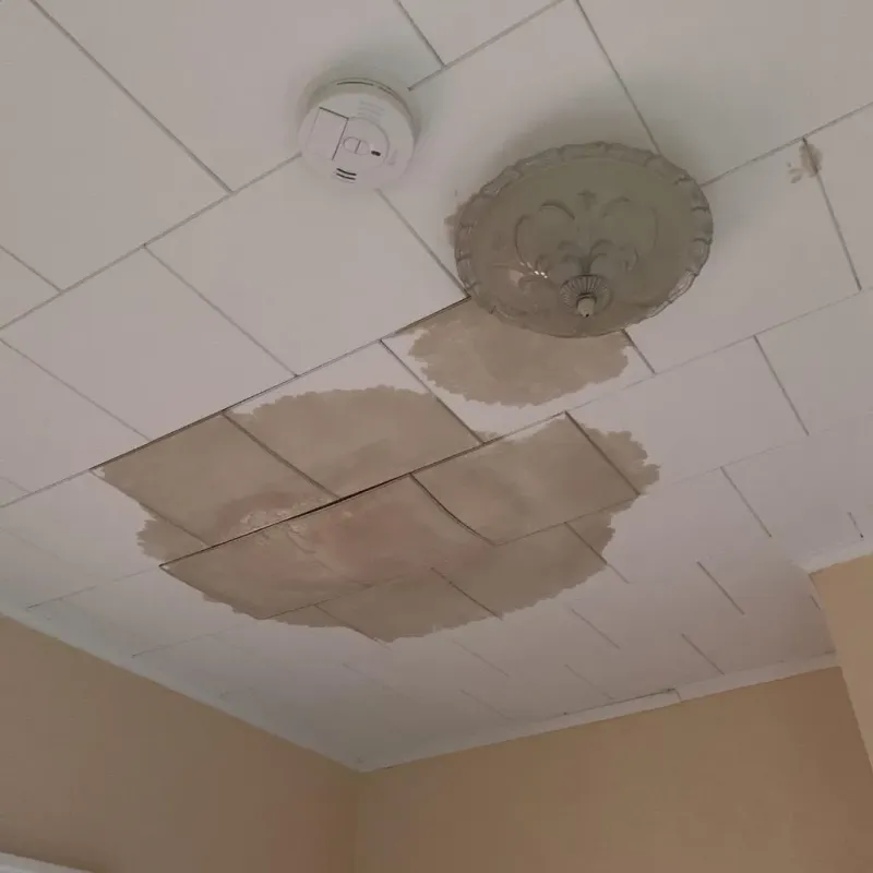 Ceiling Water Damage Repair in Bethel, OH