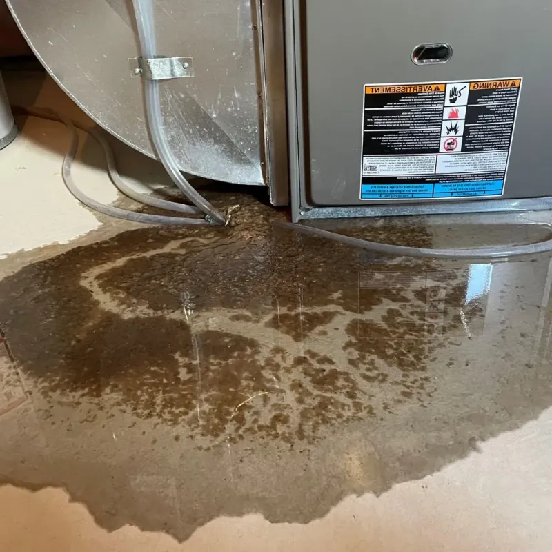 Pipe Burst and Leak Restoration in Bethel, OH