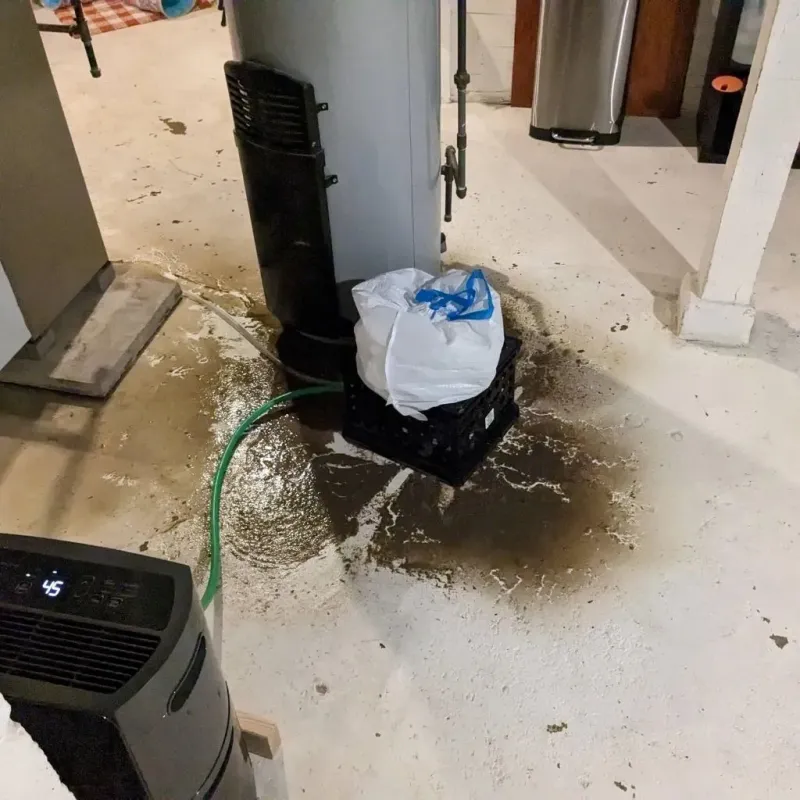 Sewage Backup Cleanup Service in Bethel, OH